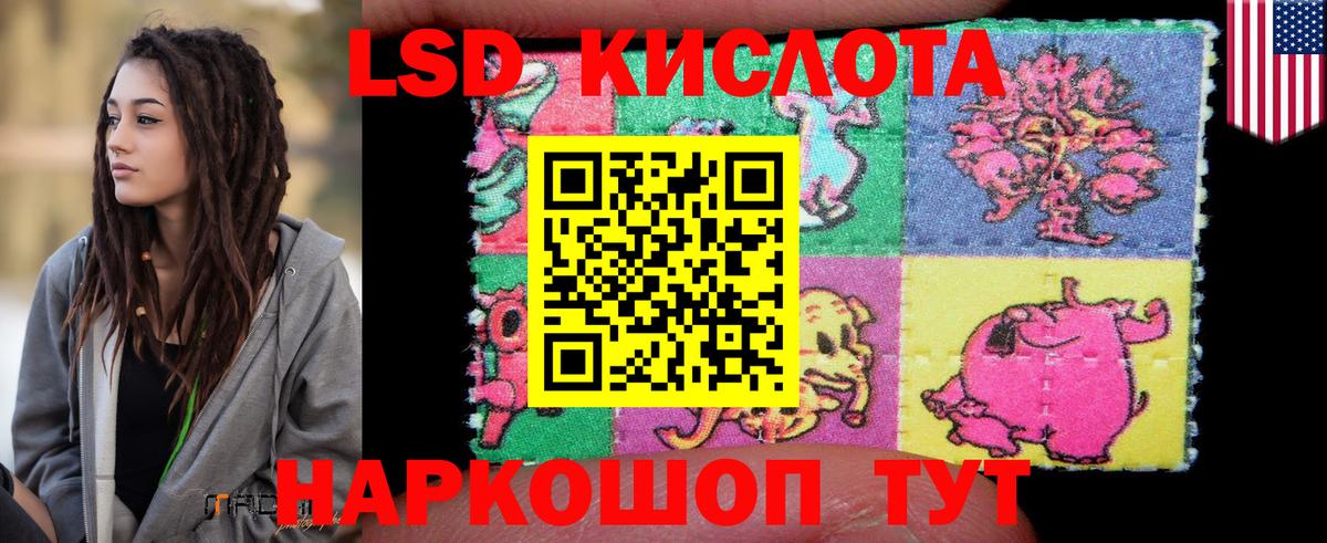 блэк спрут вход  Вход с VPN  Лсд 25 экстази  ЛСД экстази ecstasy  Горно-Алтайск  Лсд 25 экстази кислота 