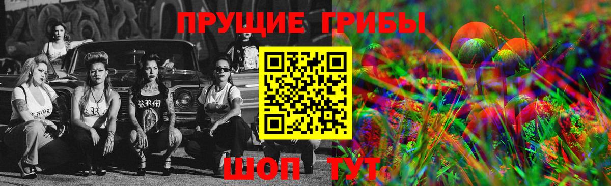 Горно-Алтайск  Галлюциногенные грибы MAGIC MUSHROOMS  Вход с VPN 